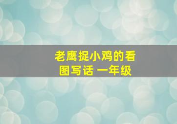 老鹰捉小鸡的看图写话 一年级